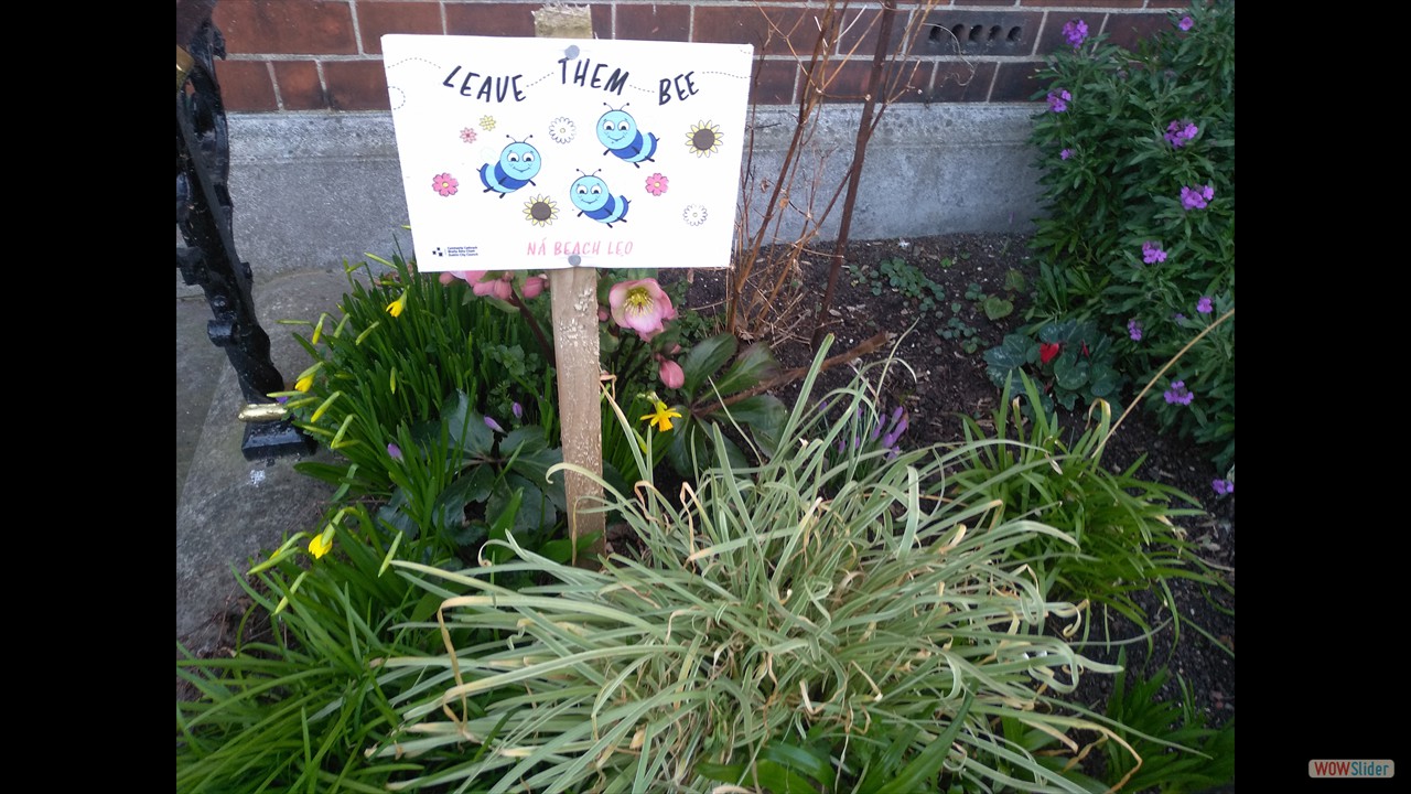 Signs in a private garden. Each flower Is for the bees!